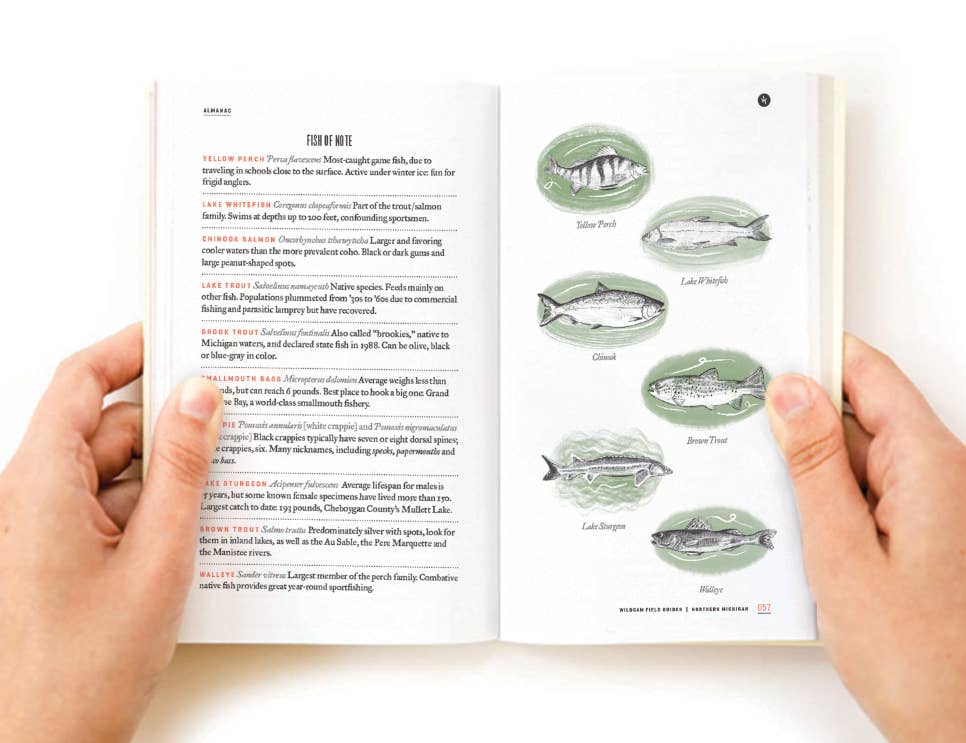 Wildsam Field Guides - Northern Michigan Field Guide