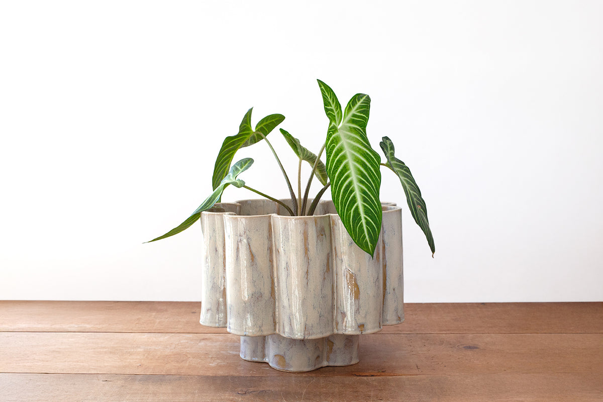 Large Scallop Planter - Gloss Tan
