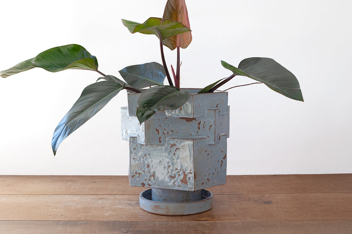 A potted houseplant with large green leaves in a shino-glazed hexagonal ceramic planter sitting on a wooden surface against a plain white wall.