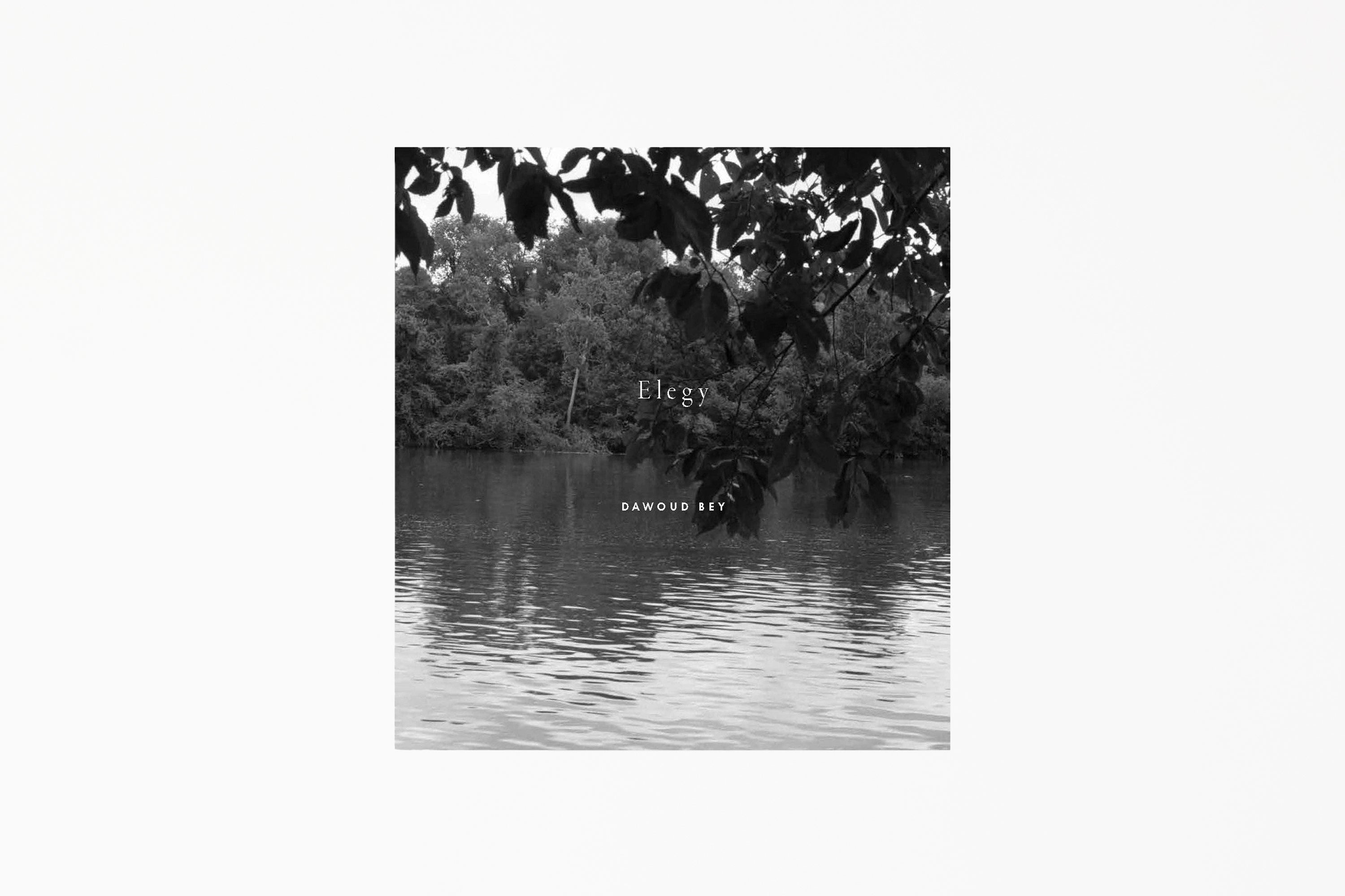 Dawoud Bey: Elegy