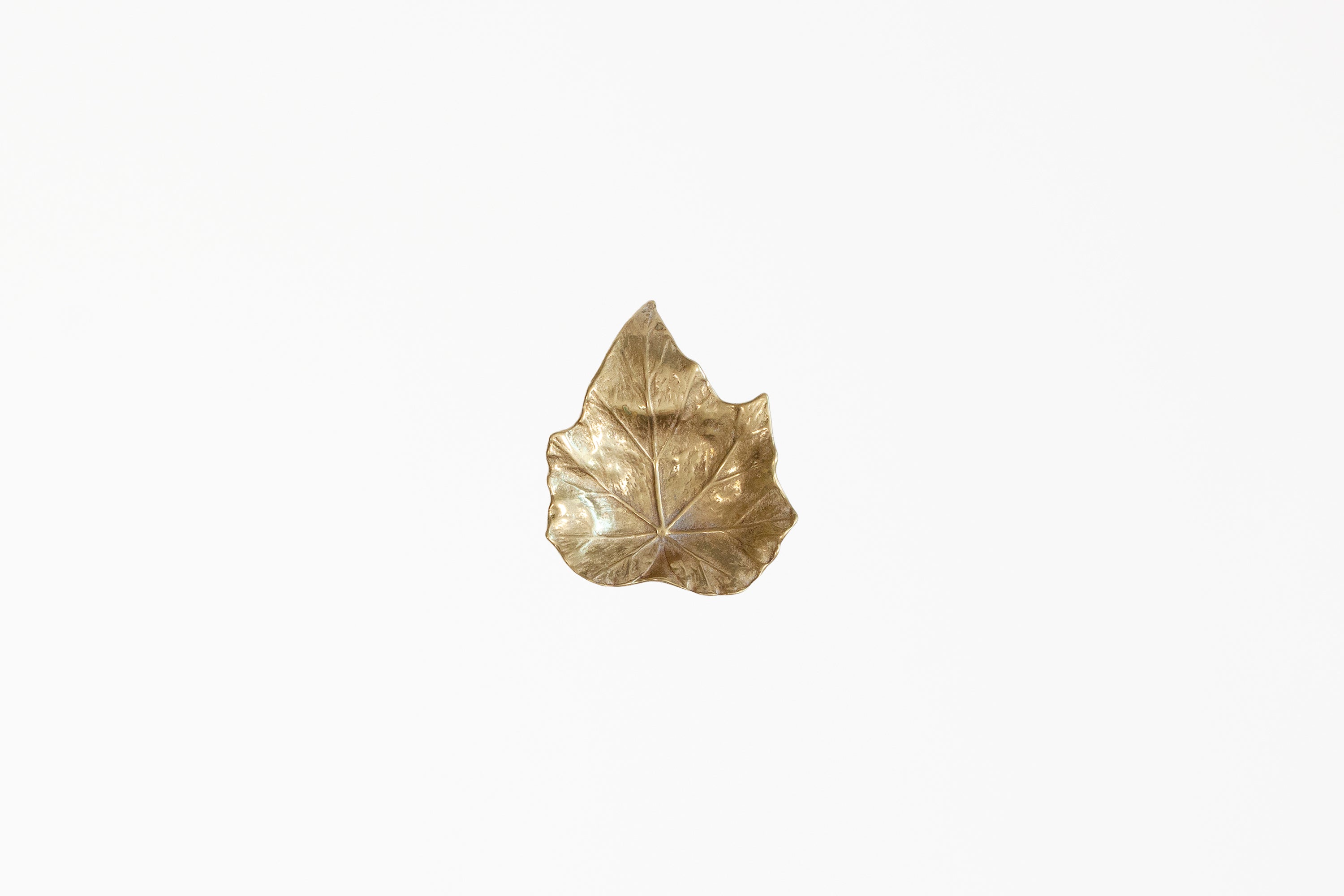 Vintage Brass Leaf - Star Begonia