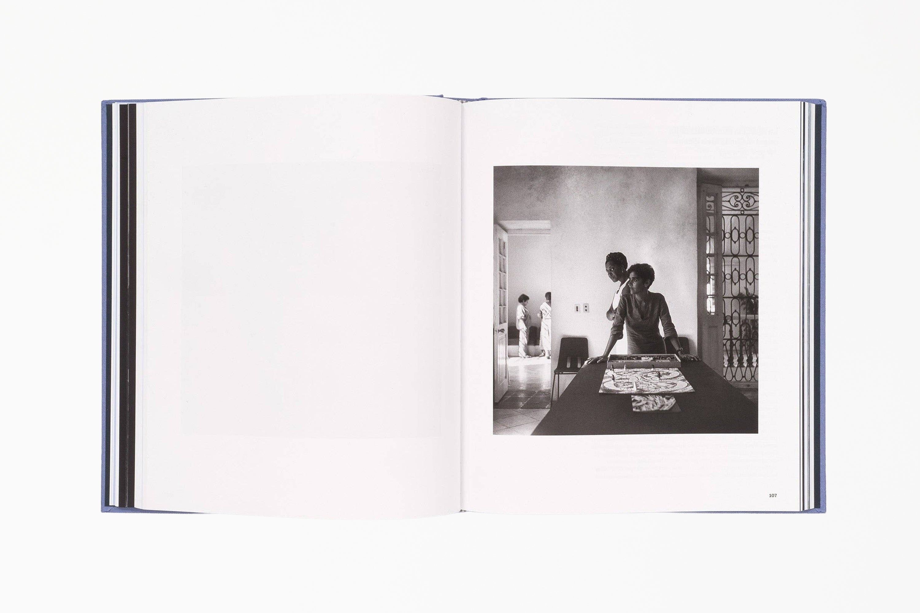 Carrie Mae Weems: The Heart of the Matter