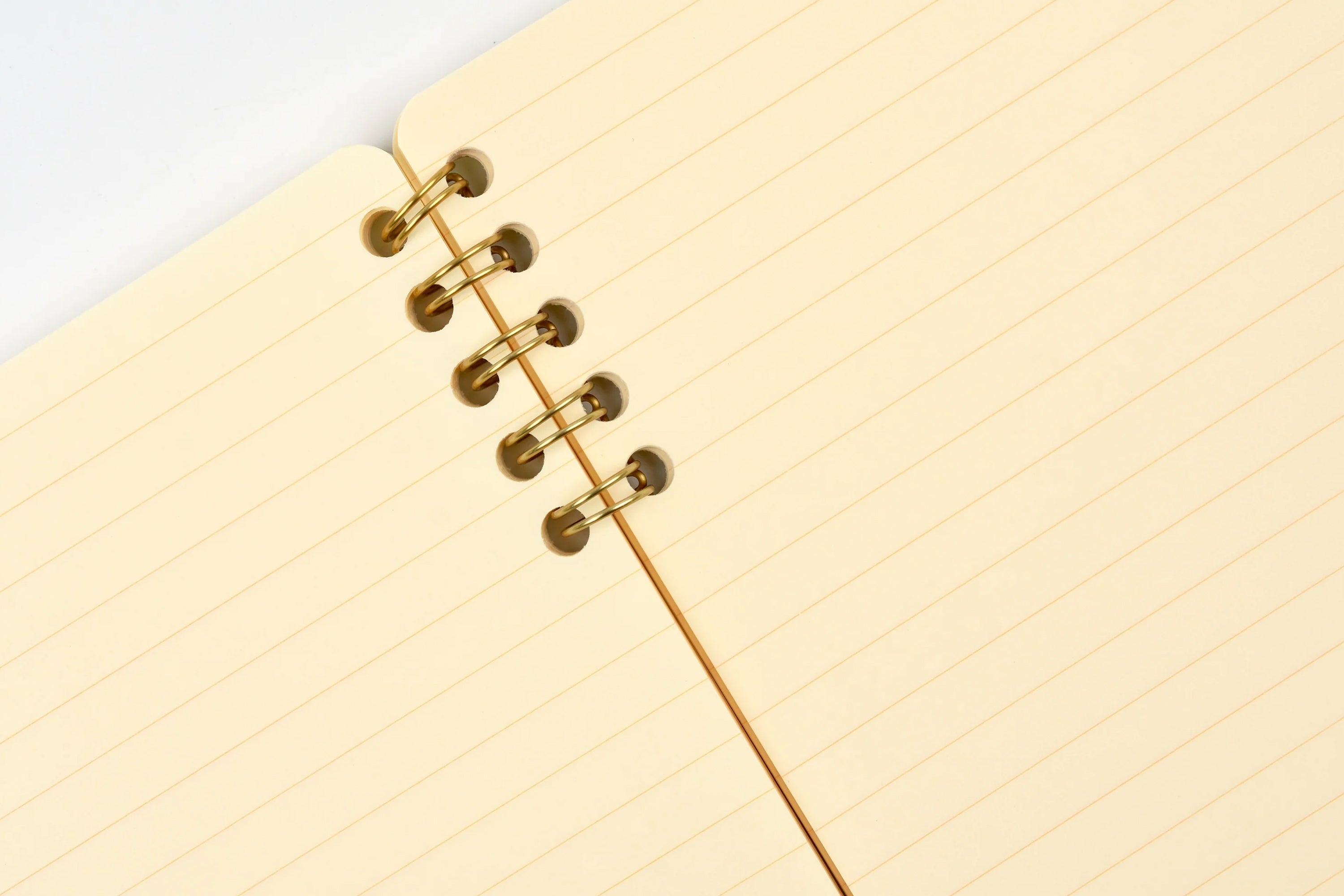 Life Cinnamon Ringed Notebook B6 - Ruled