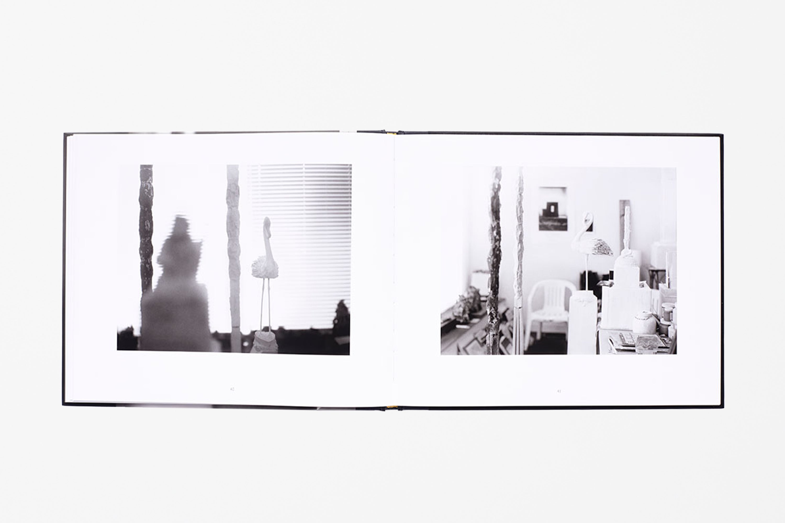 Remembered Light: Cy Twombly in Lexington