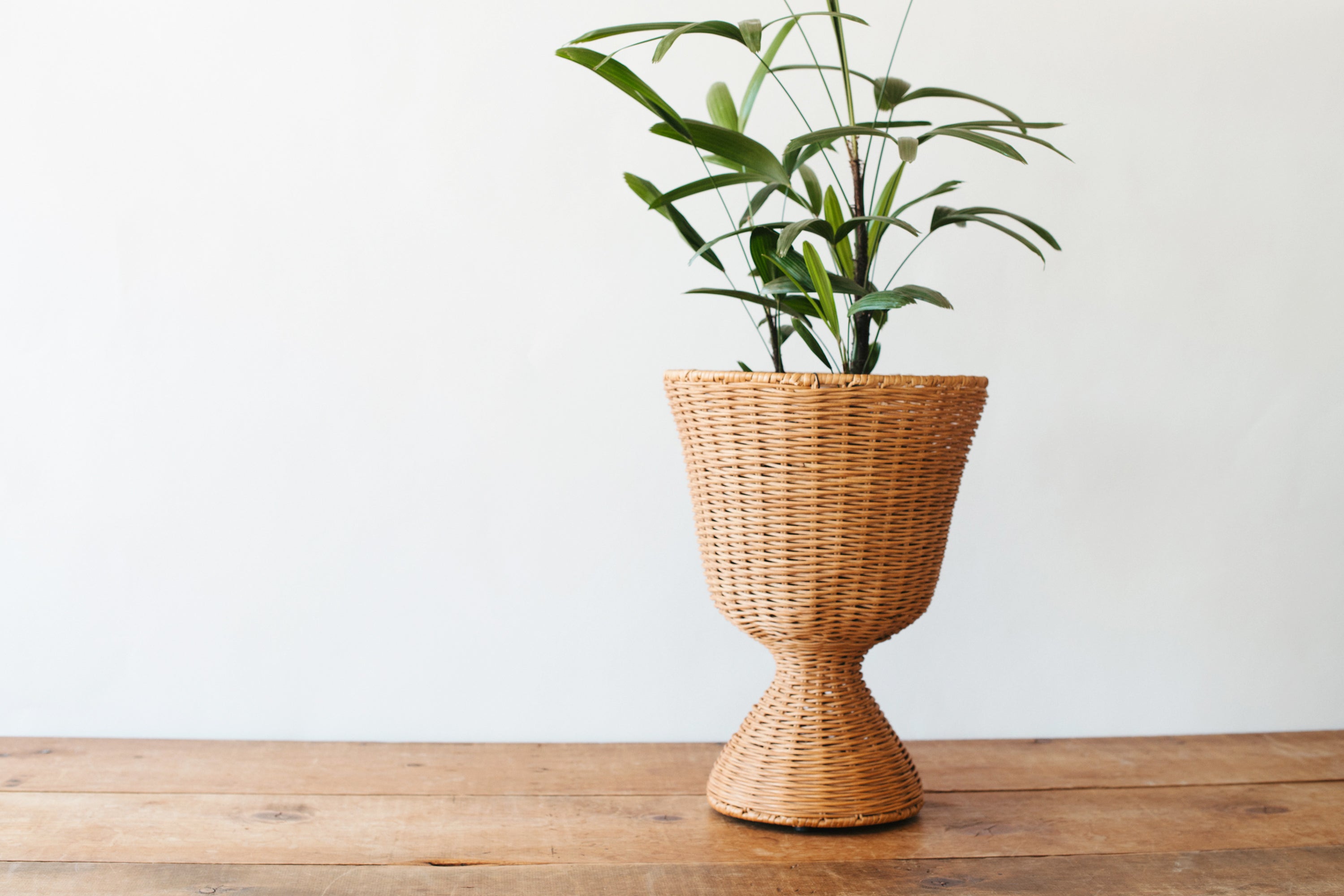 Agnes Plant Stand - Natural - Low