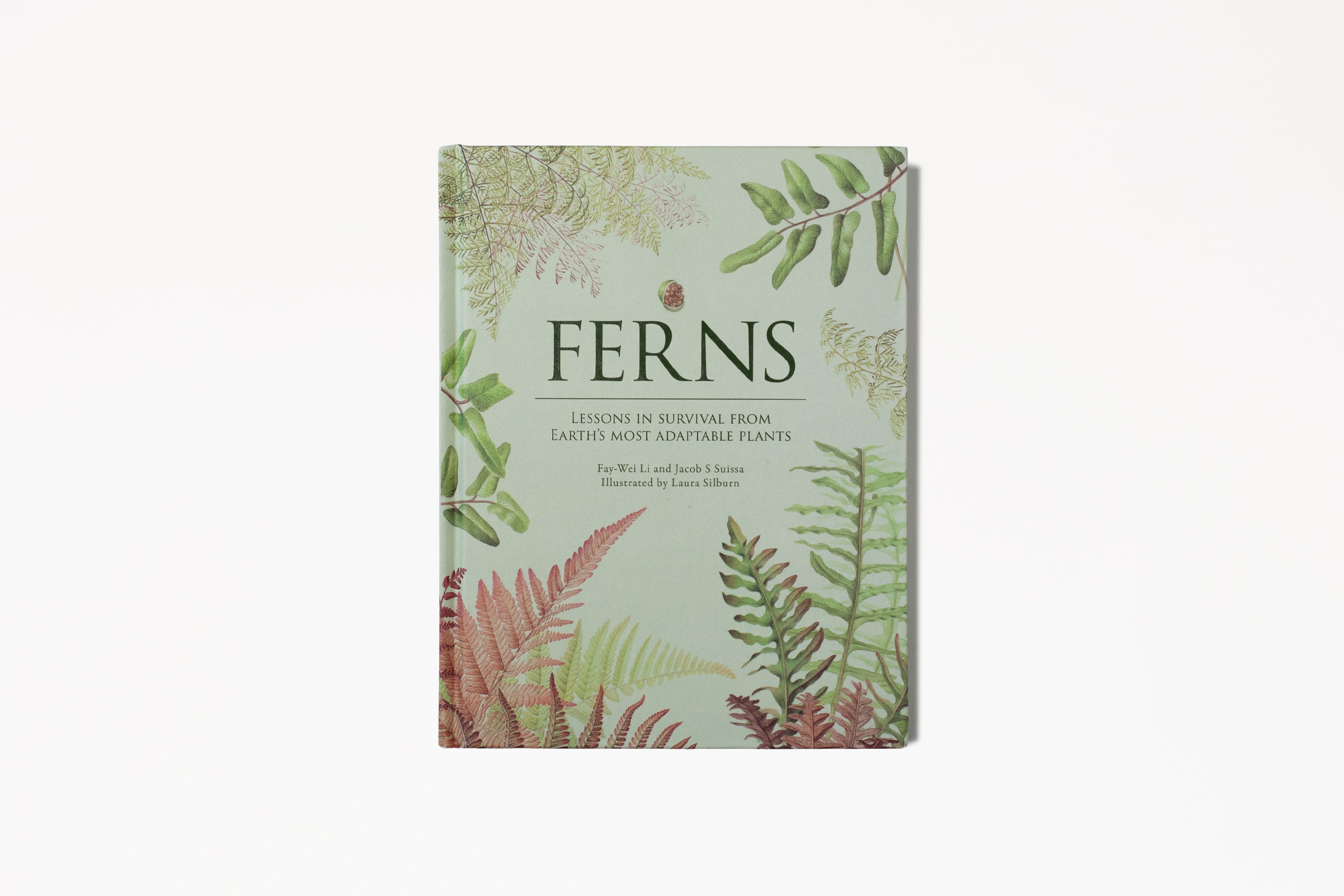 Ferns