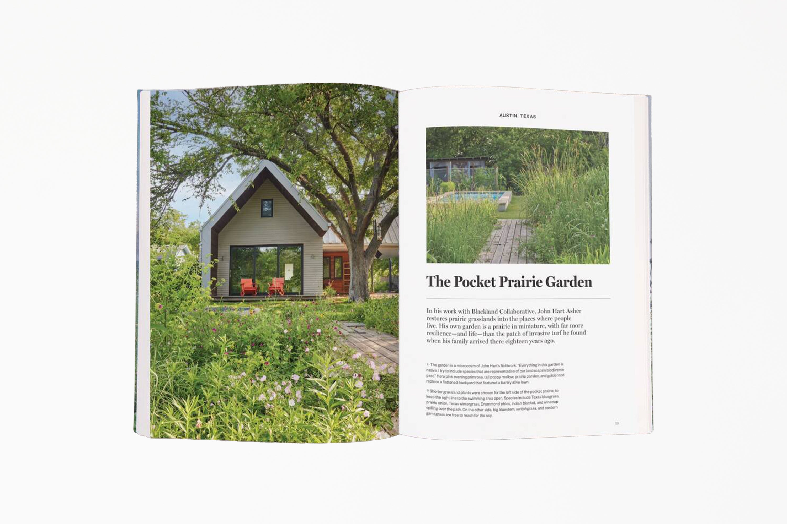 Gardenista: The Low-Impact Garden