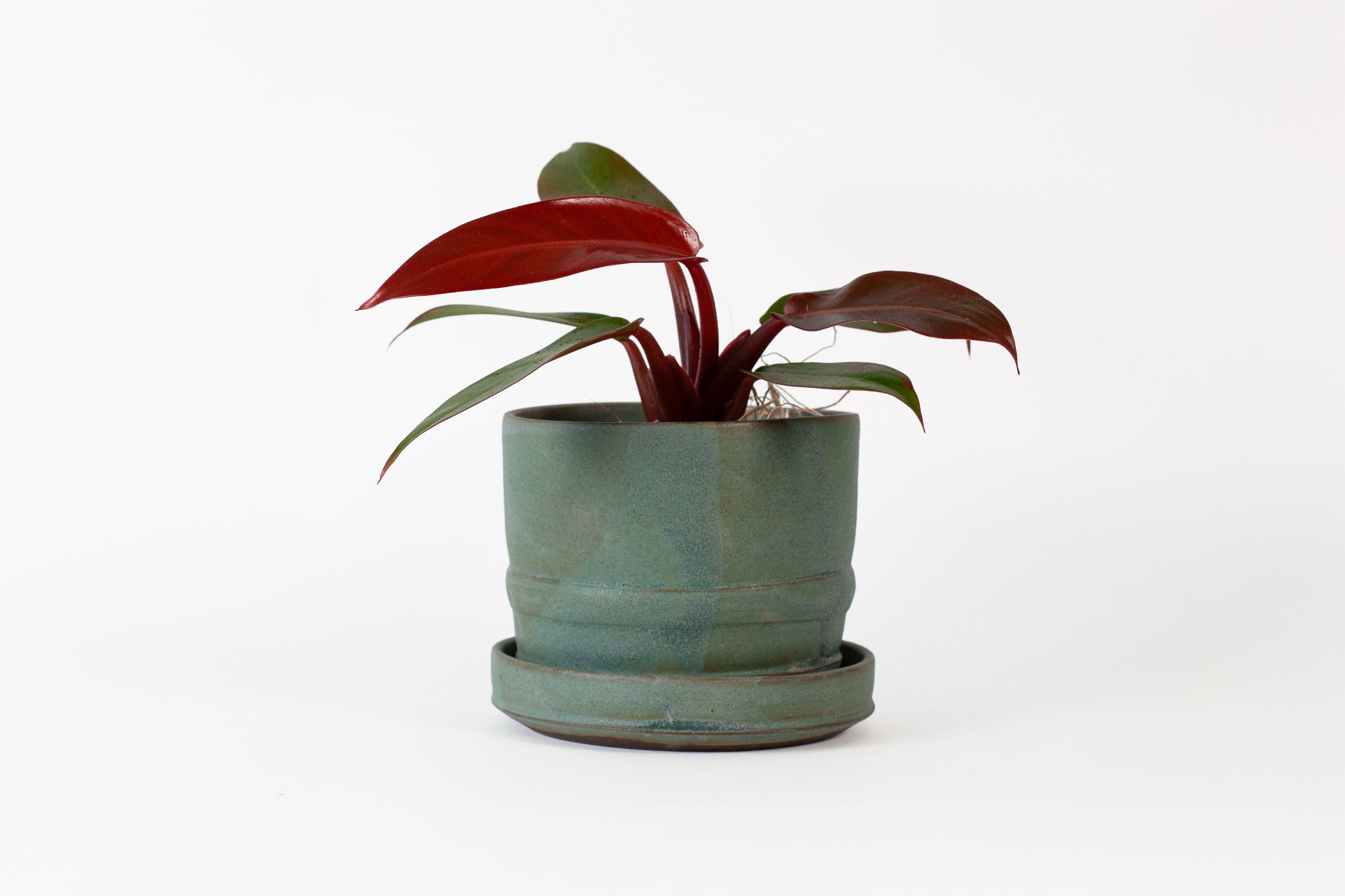 Grandmont Street - Green Planter with Tray