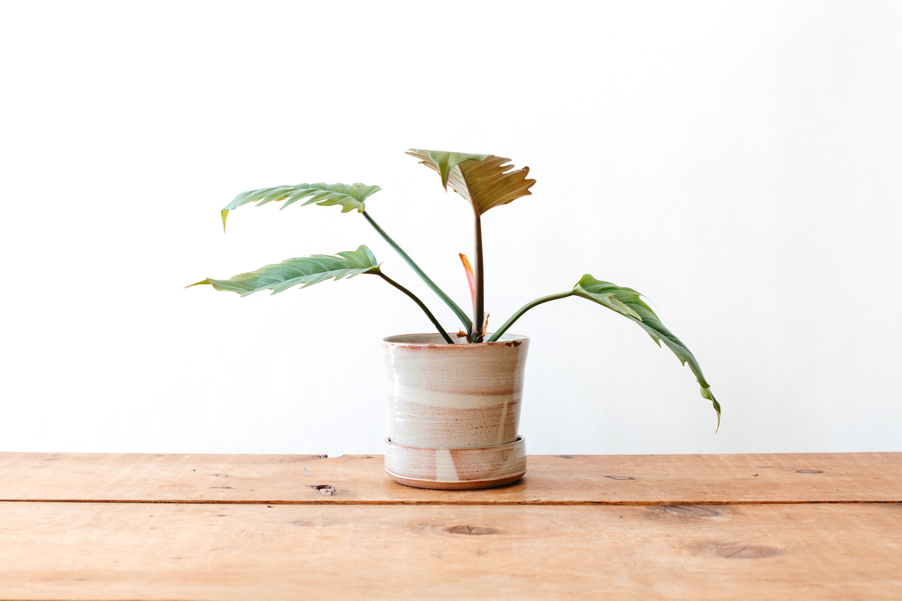 Grandmont Planter with Tray - Large White