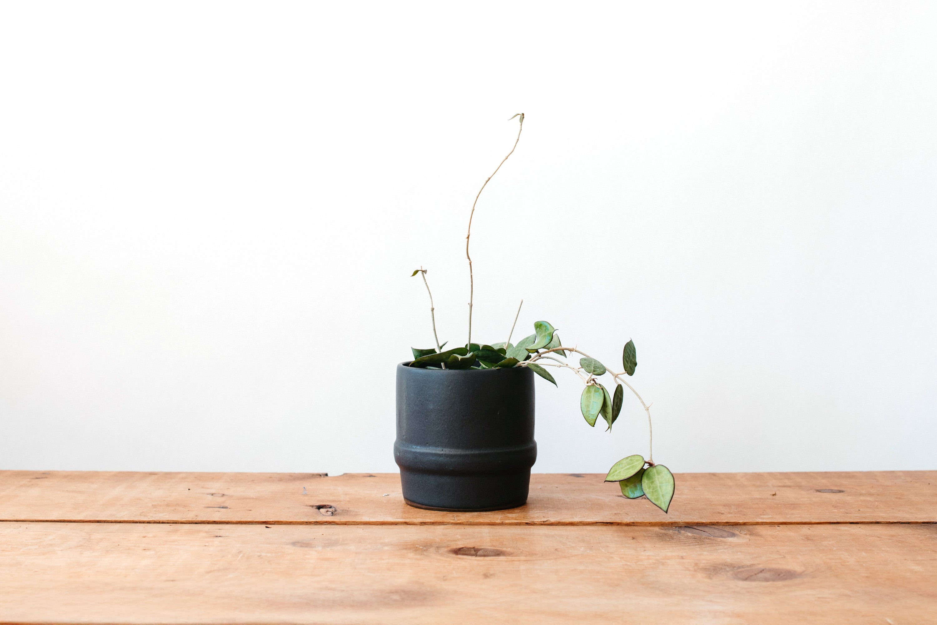 Grandmont Planter - Medium Black