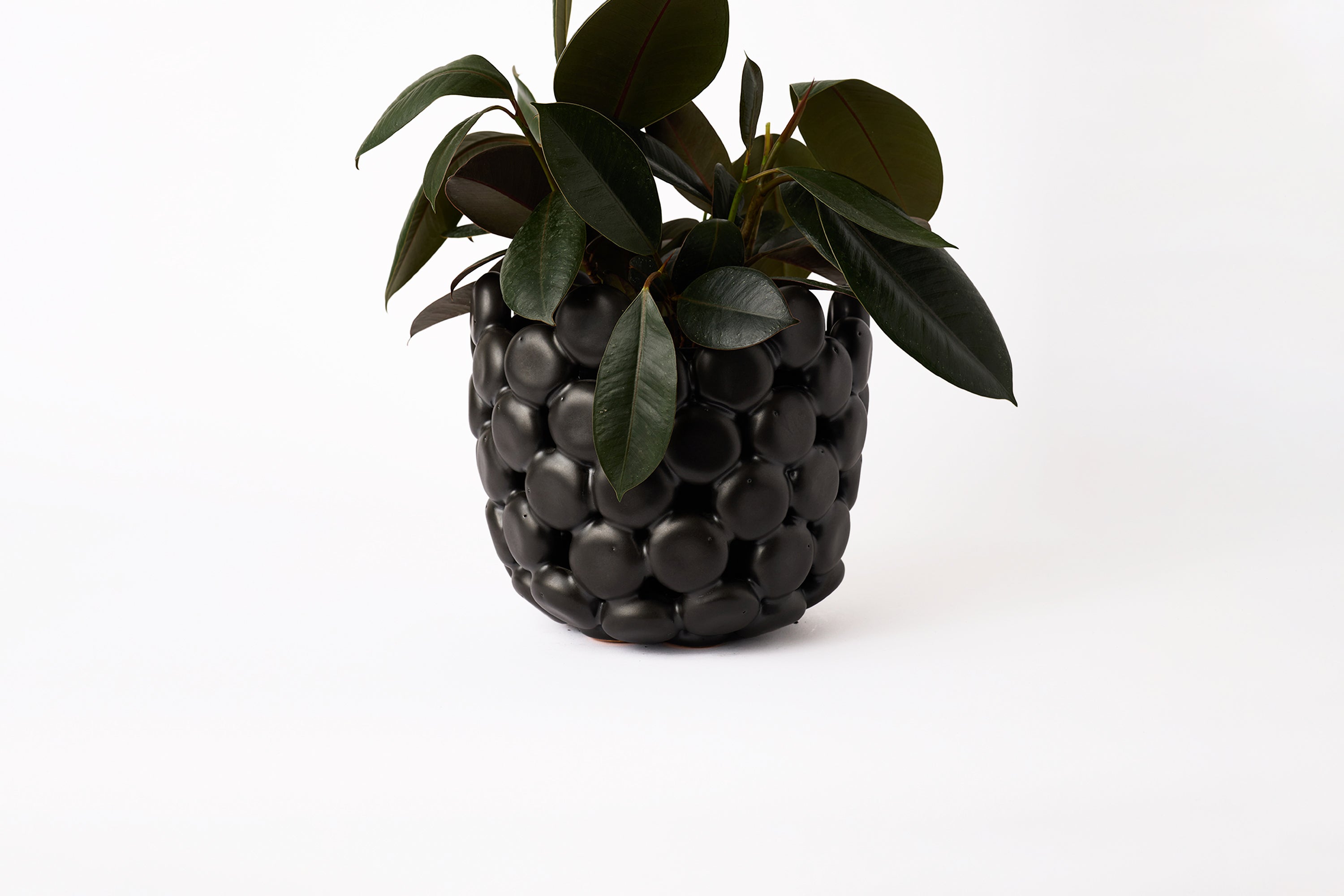 Len Carella - Tall PODS Bowl - Satin Black