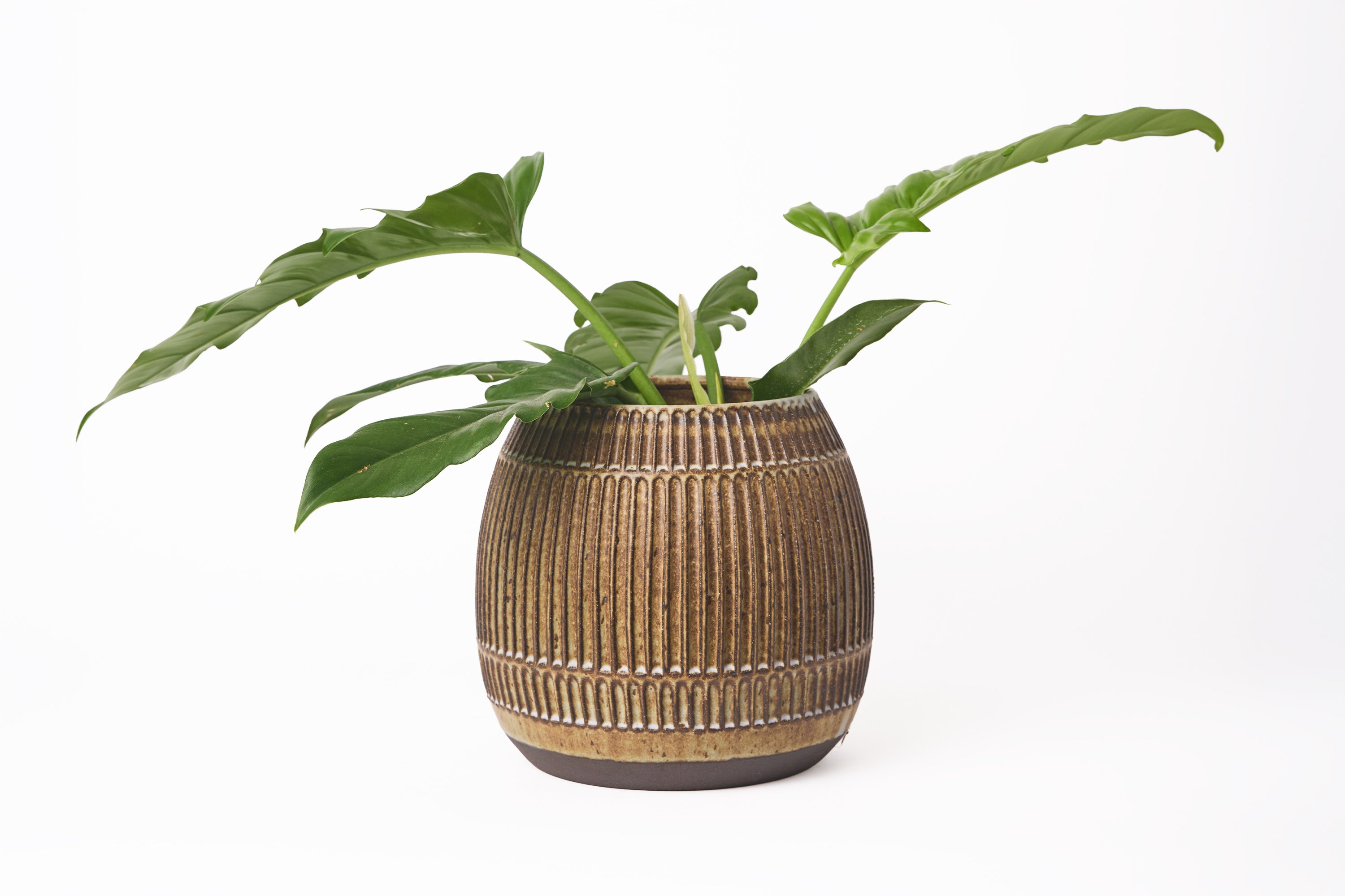 Large Carved Planter - Dark Lavender