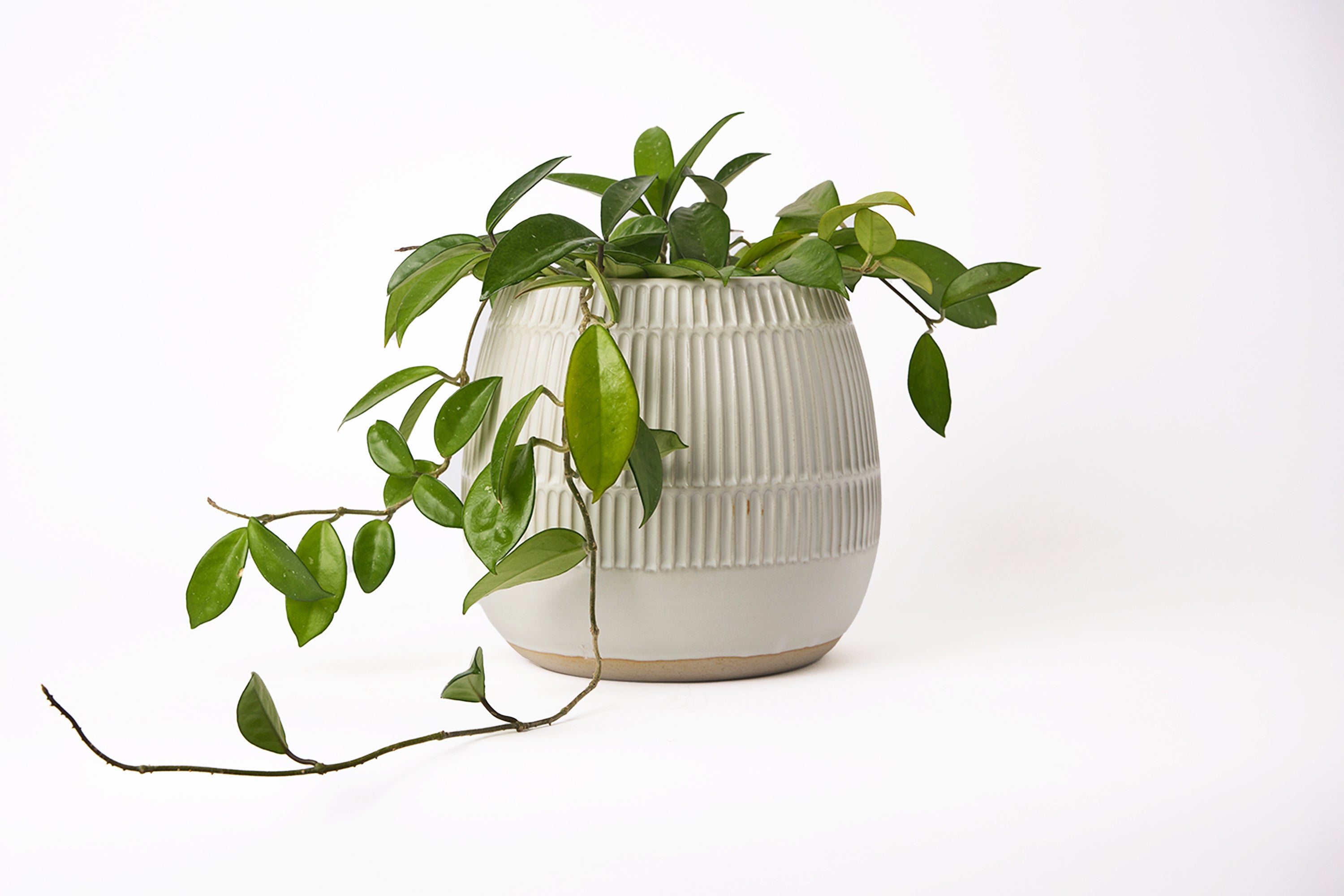 Mt. Washington Pottery - Large Planter - Matte White