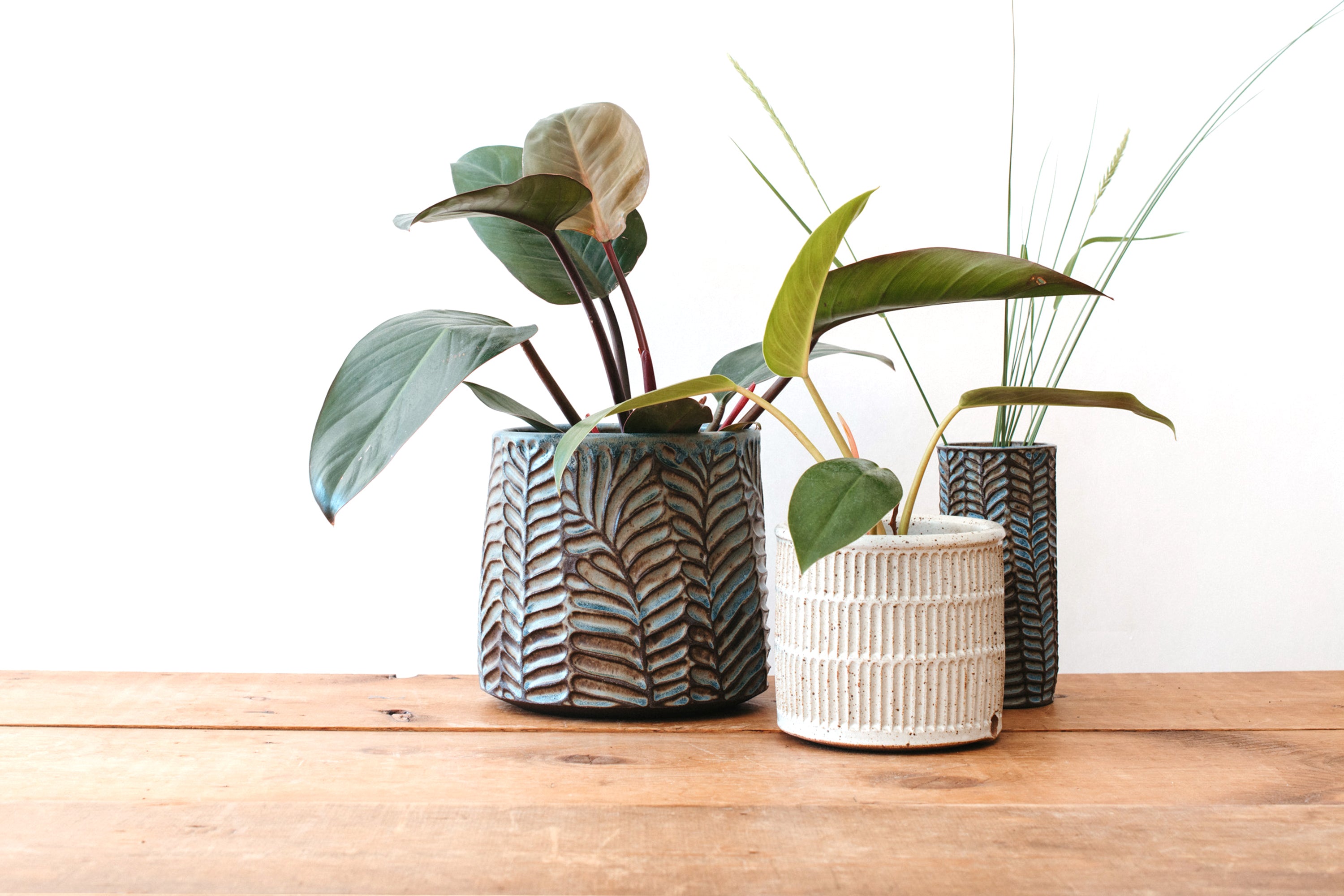 Large Fern Planter - Dark Blue