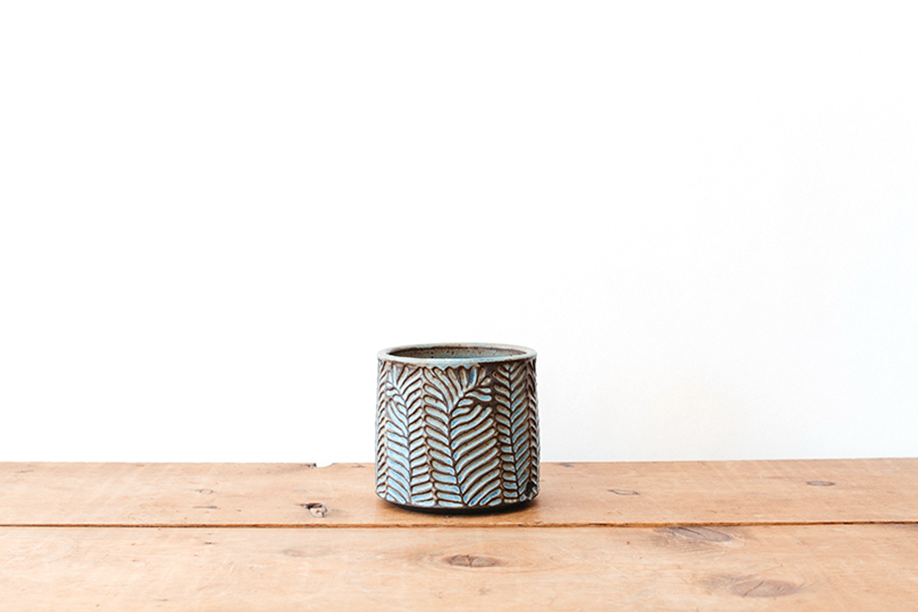 Small Fern Planter - Dark Blue