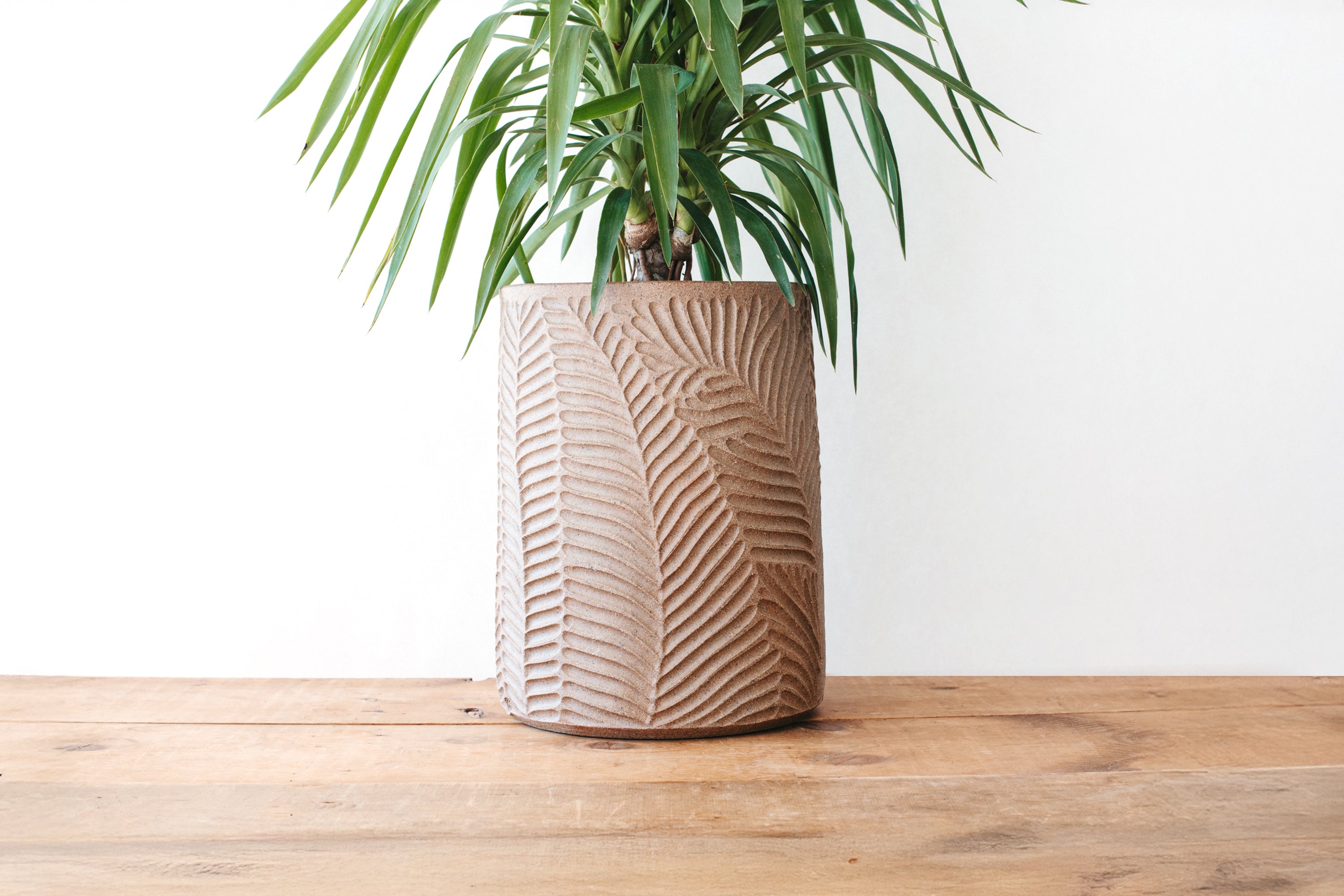 Natural Clay Fern Planter - Tall