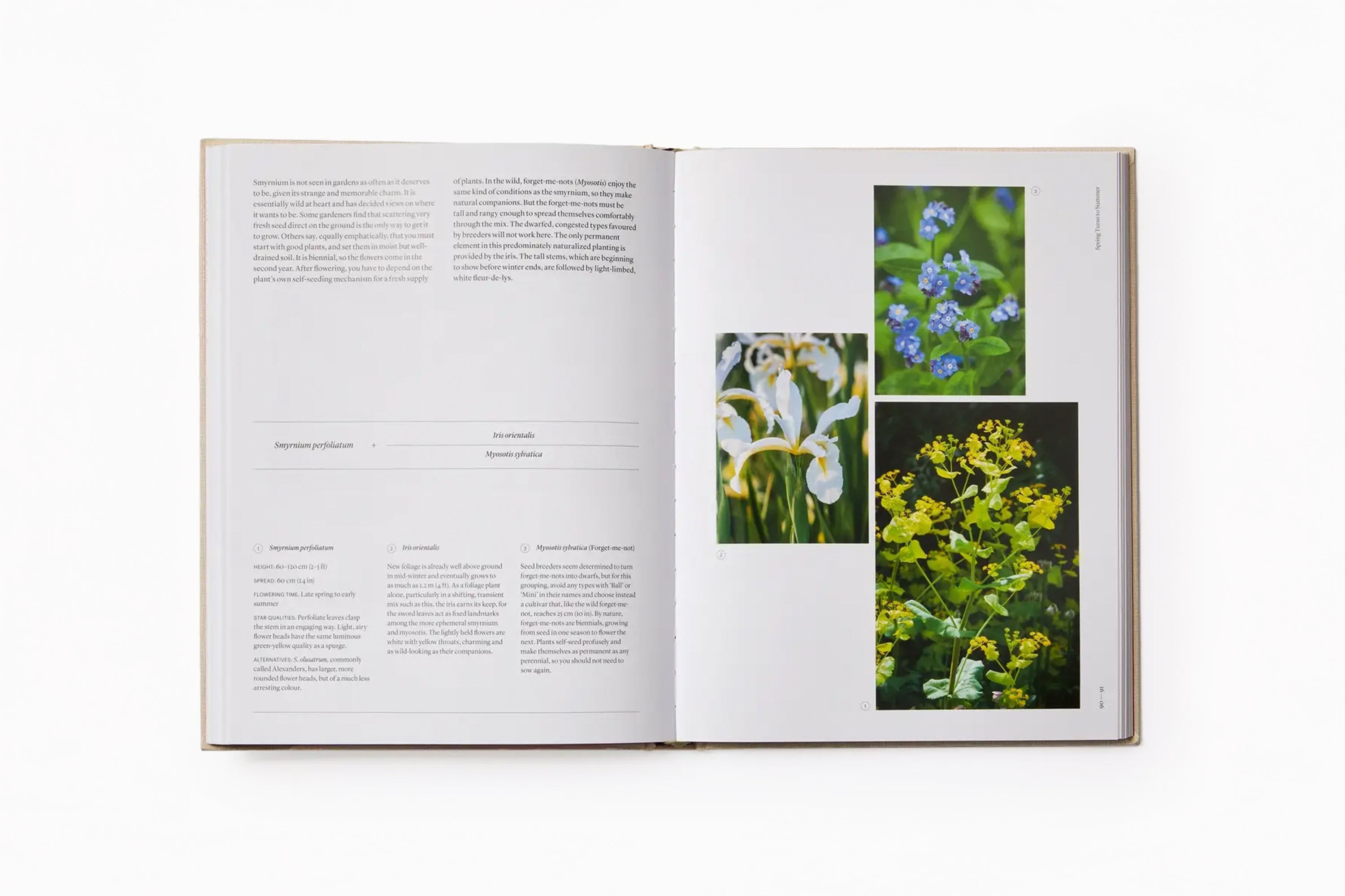 The Seasonal Gardener: Creative Planting Combinations