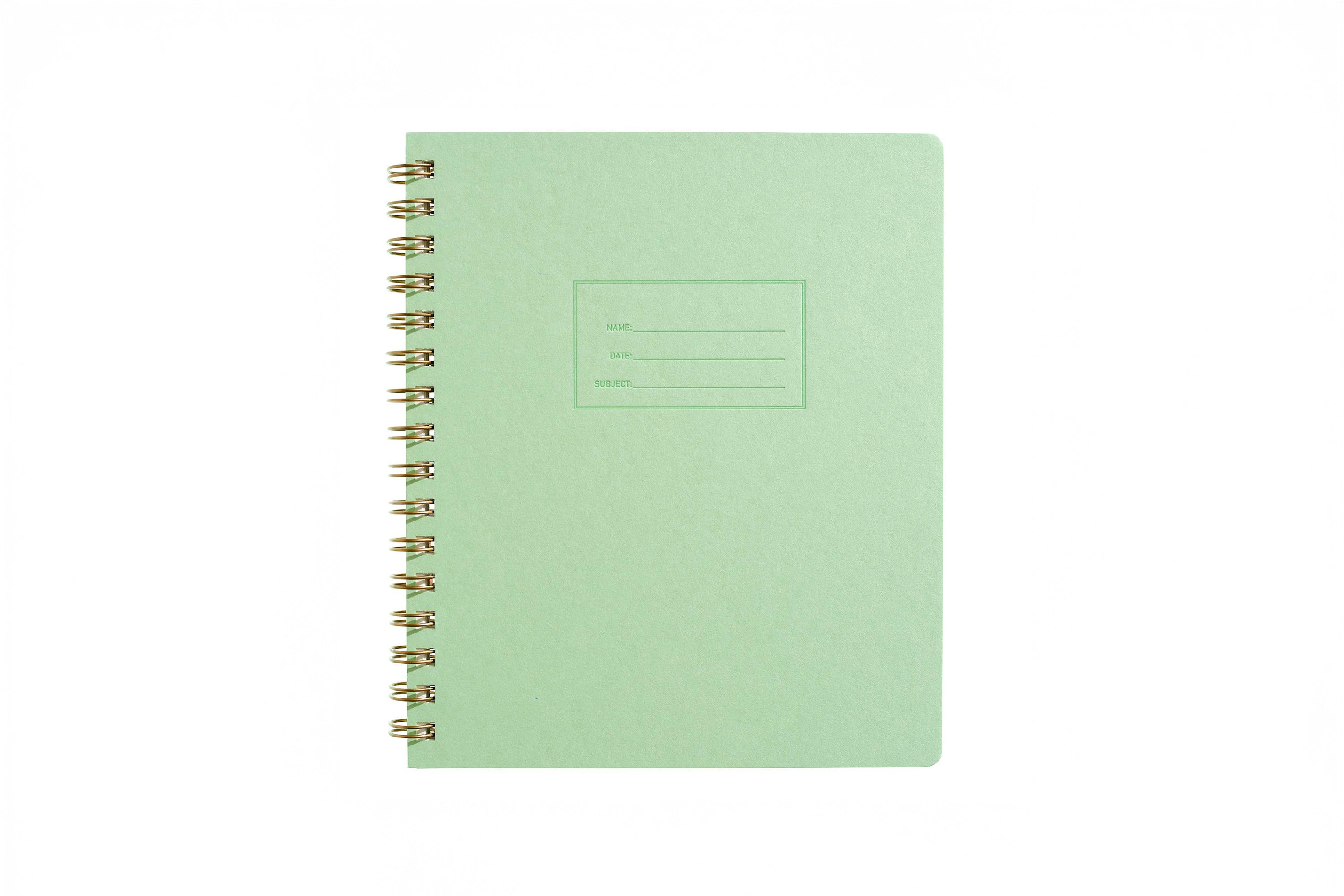Standard Notebook - Mint - Lined
