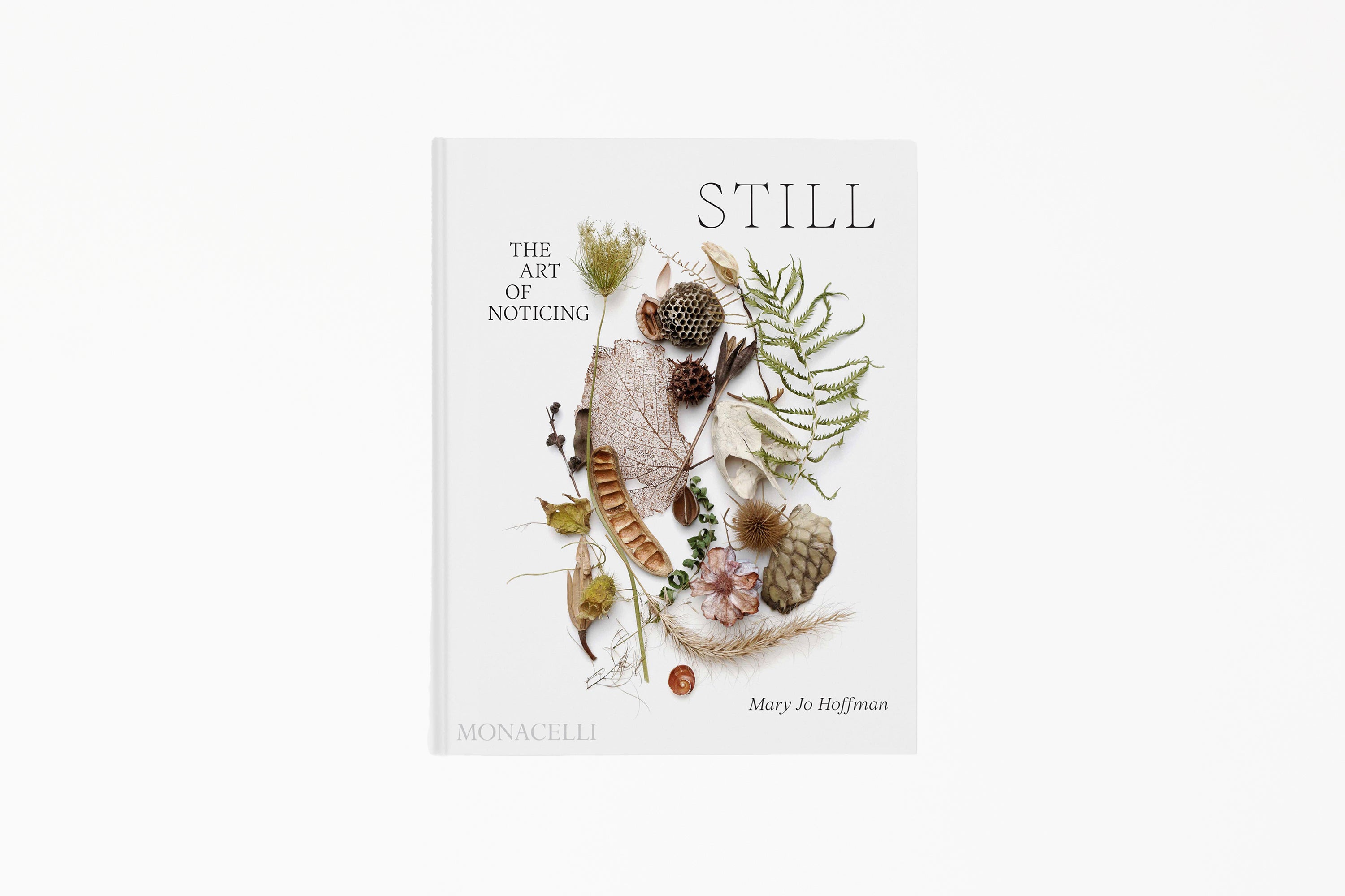 STILL: The Art of Noticing