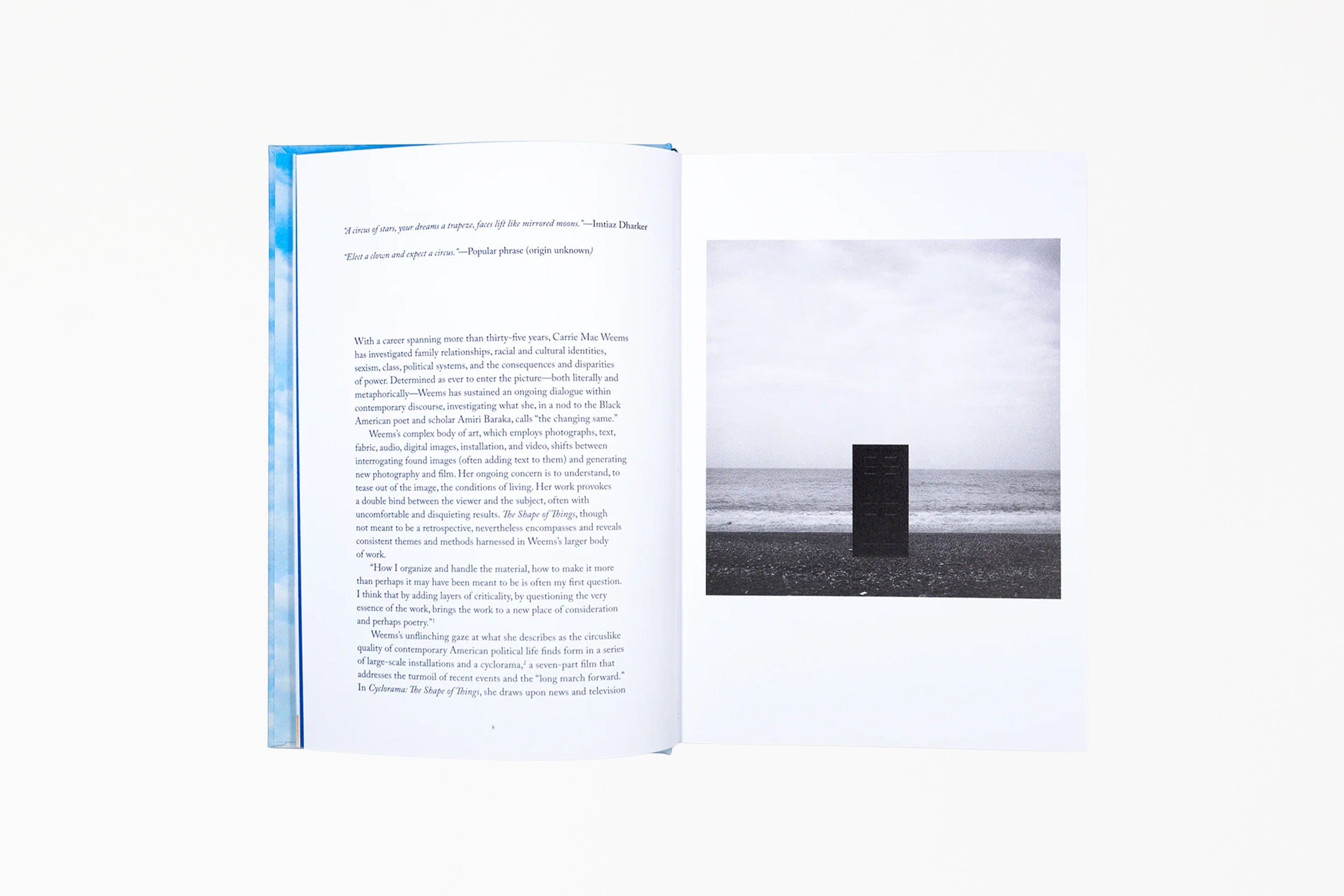 Carrie Mae Weems: The Shape of Things