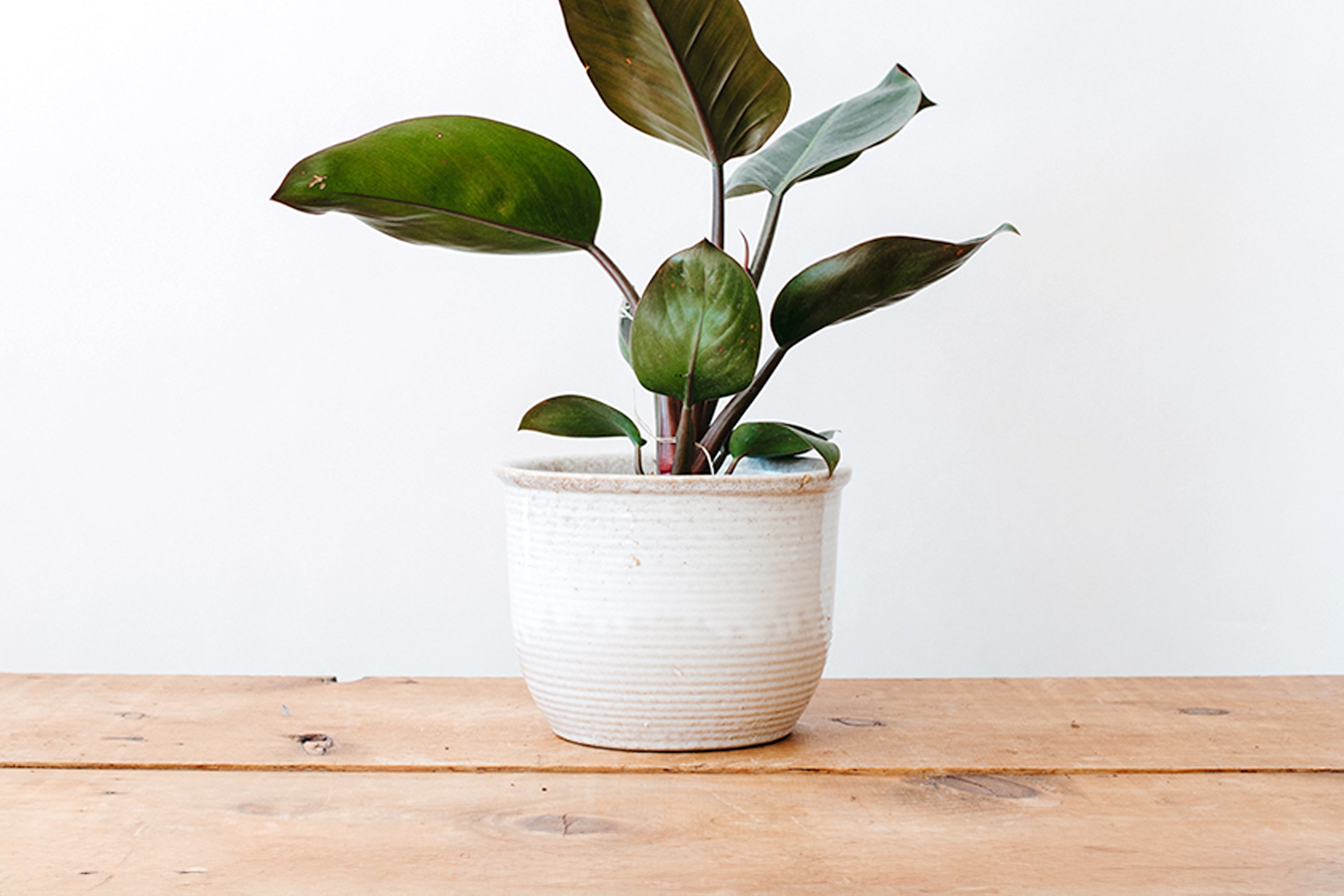 Large Zanesville Homespun Planter - Gloss White