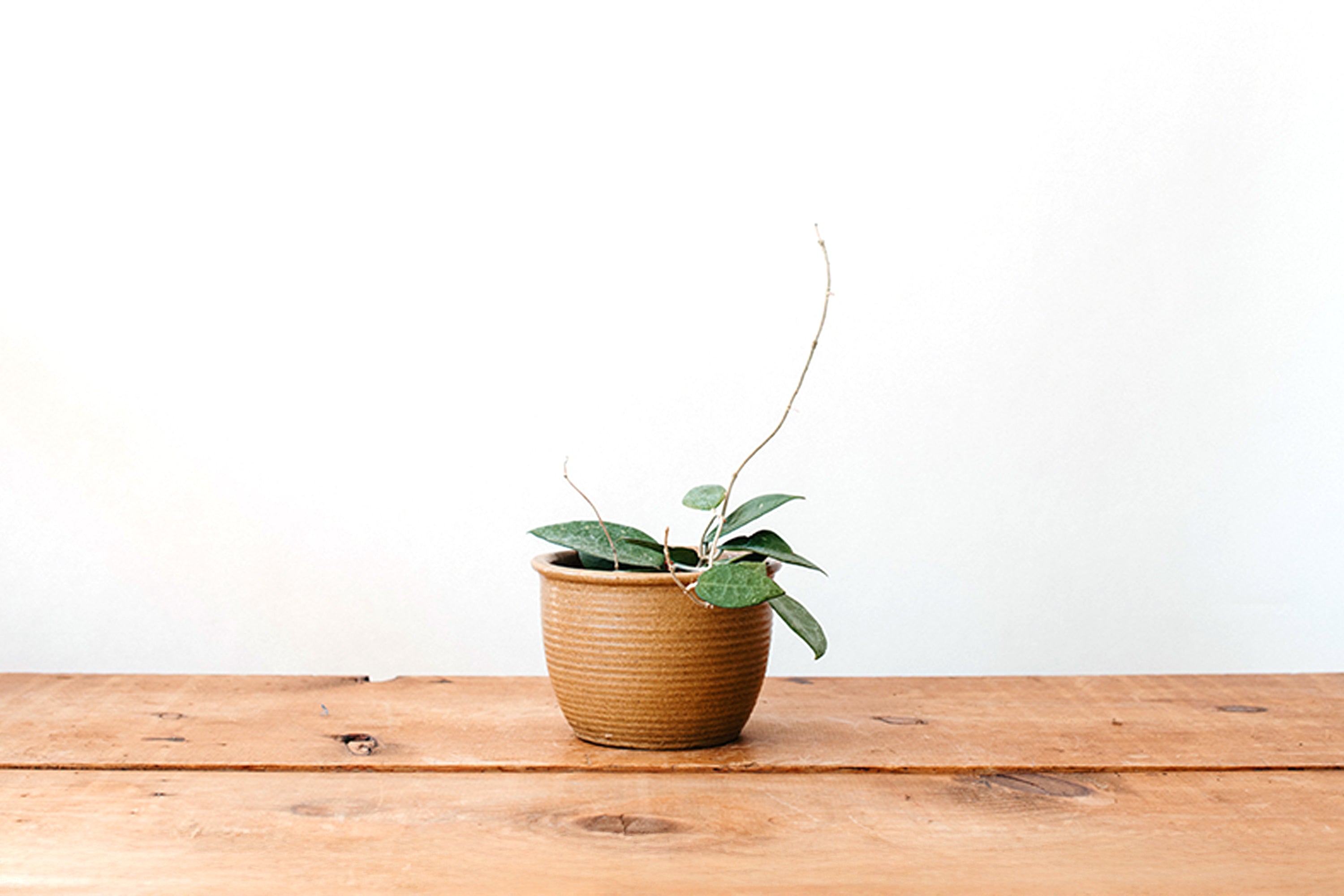 Zanesville Homespun Planter - Matte Tan