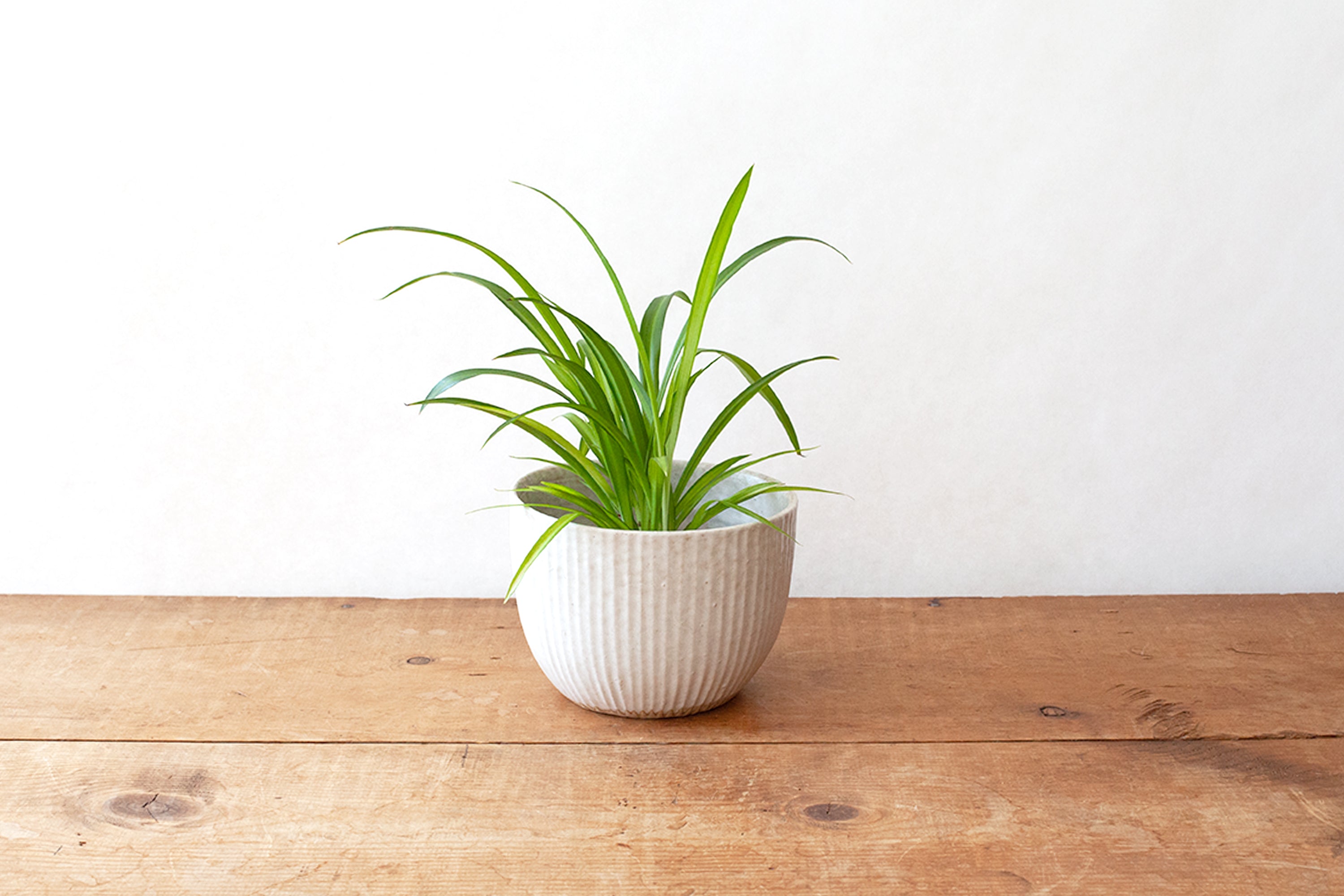 Zanesville Planter - Medium White