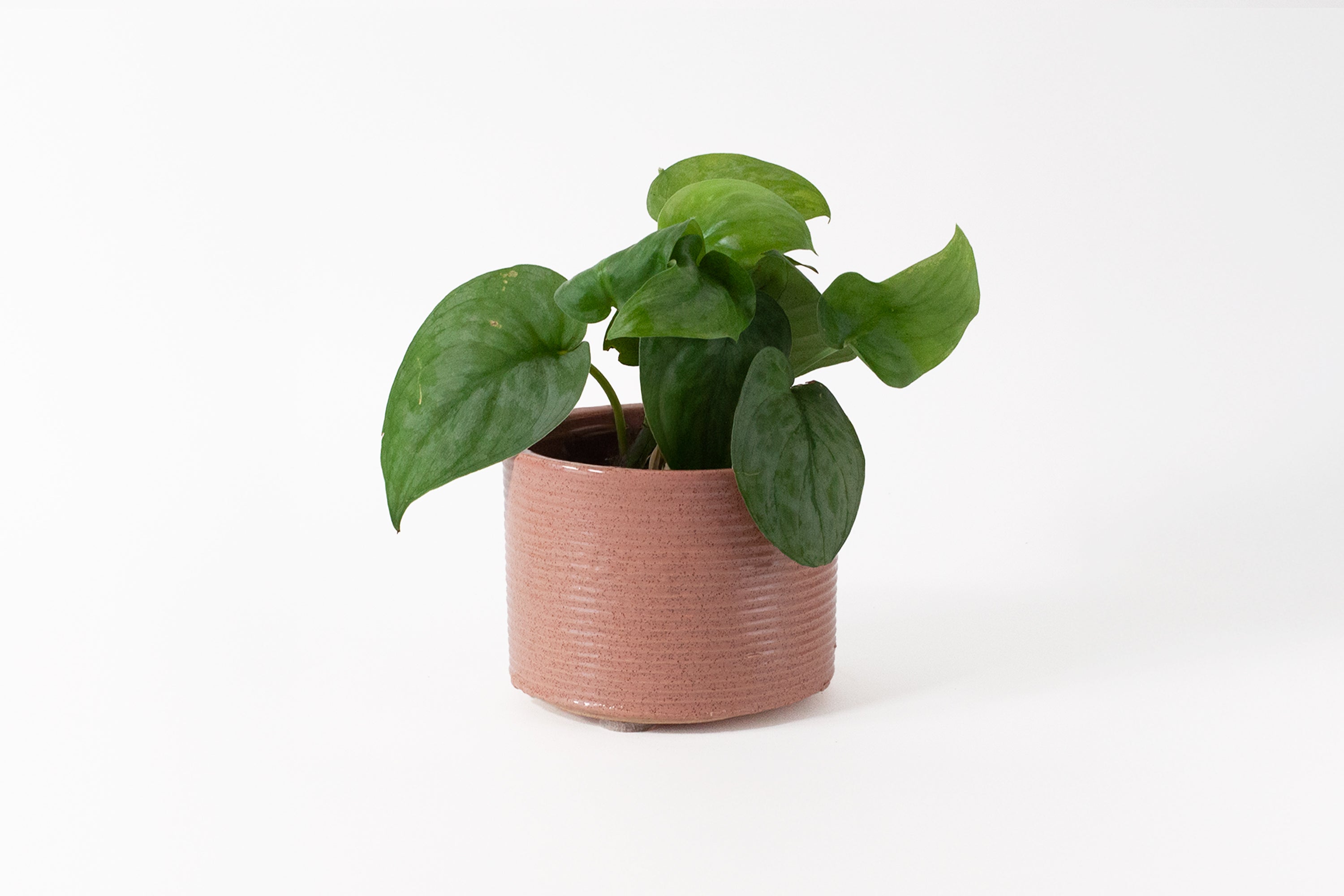 Zanesville Homespun Planter - Pink
