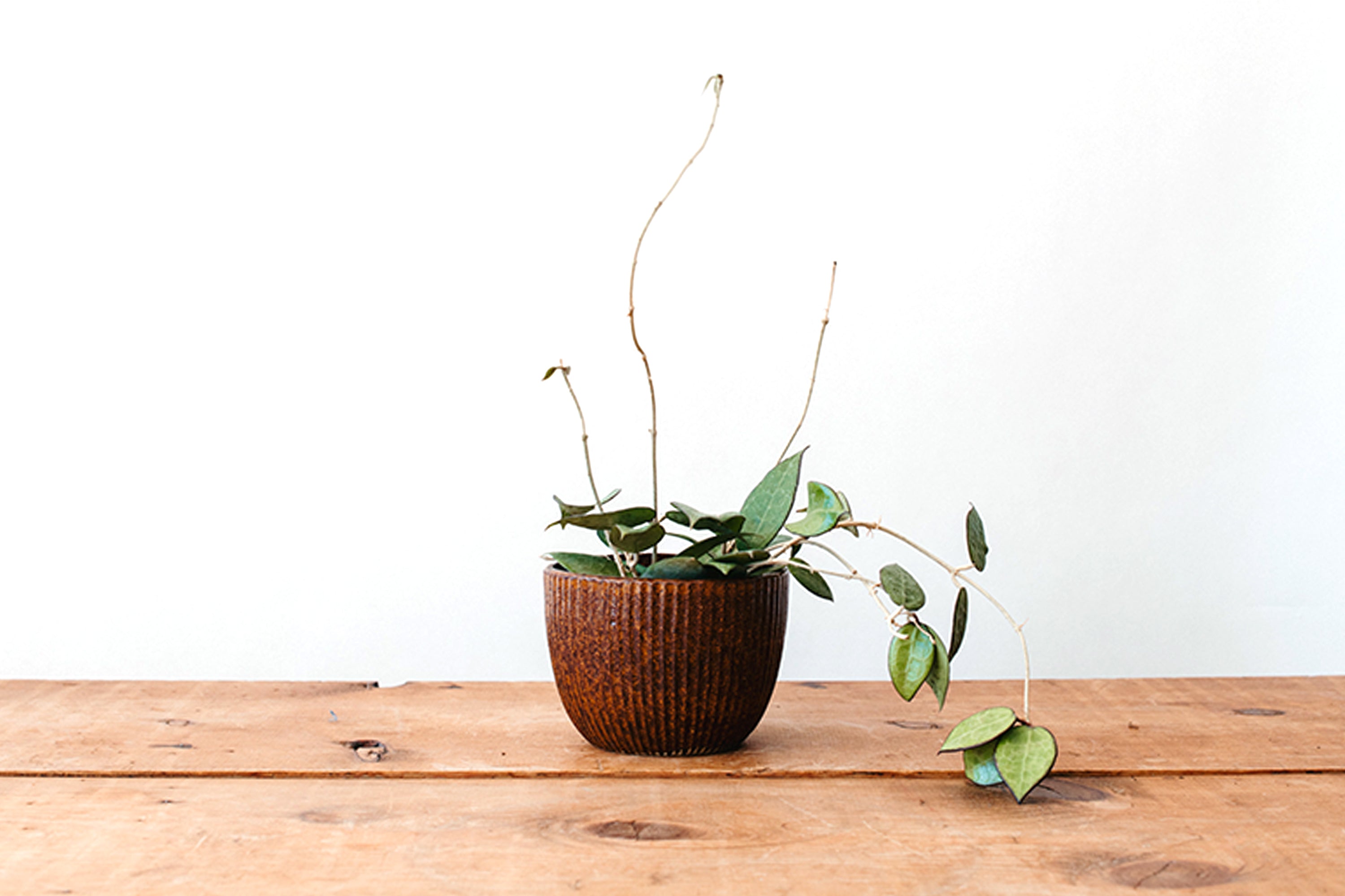 Zanesville Homespun Planter - Speckled Brown