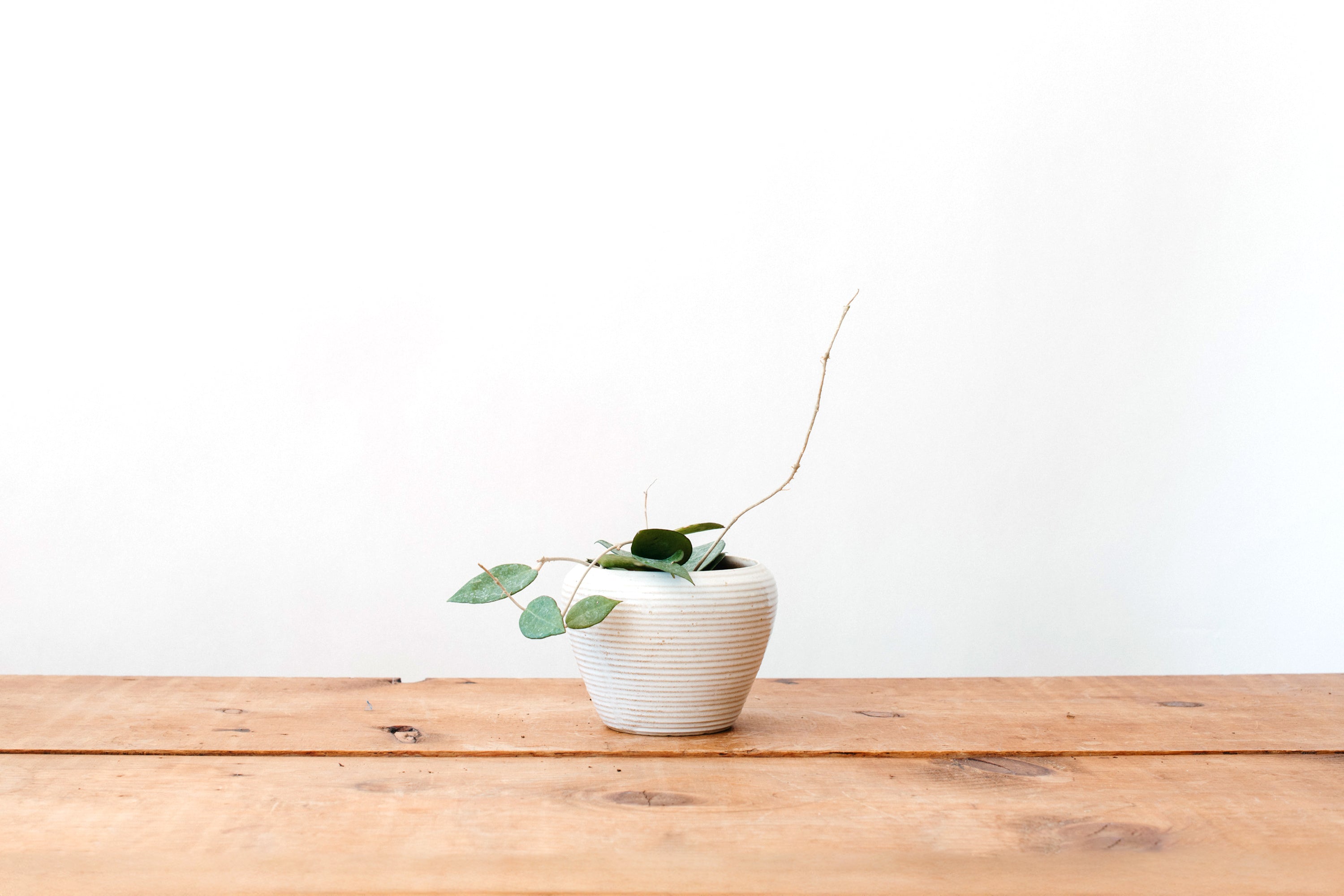 Zanesville Homespun Planter - Short White