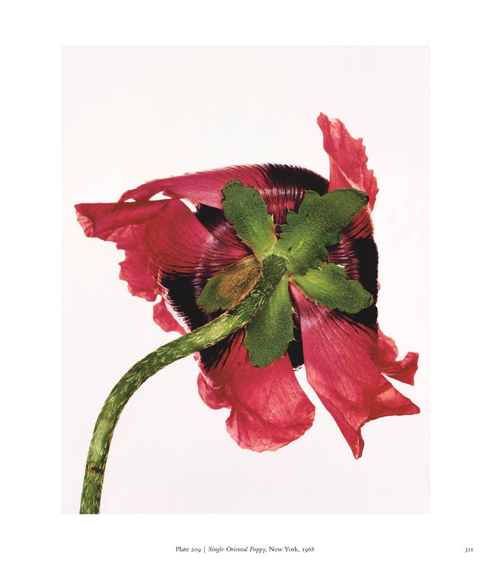 Irving Penn: Centennial